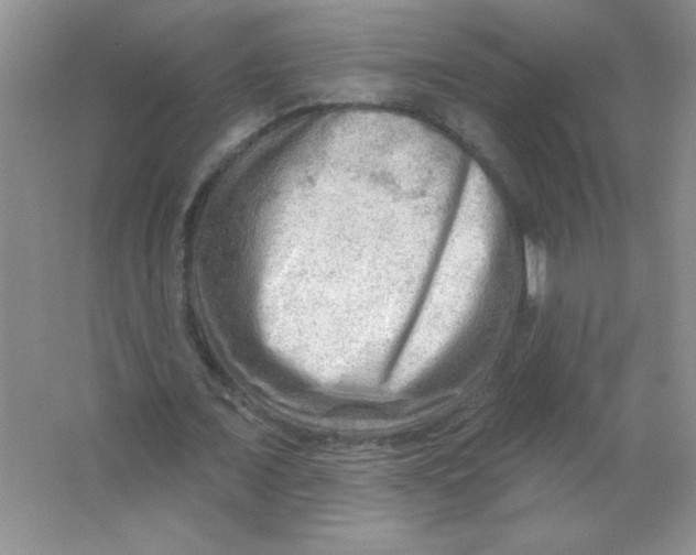 X0000063530675200602102018