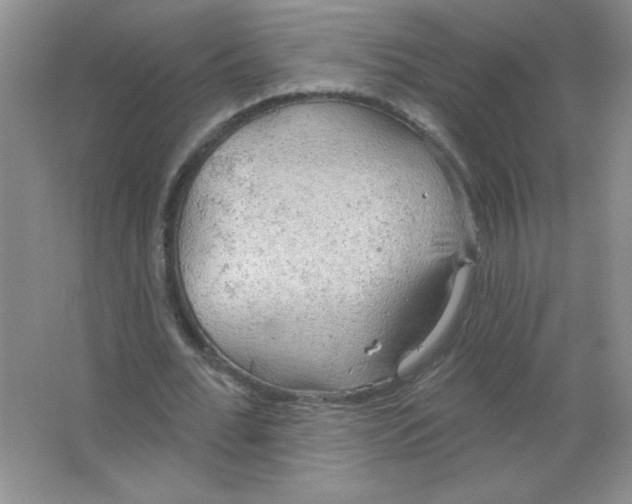 X0000063530676200602102018