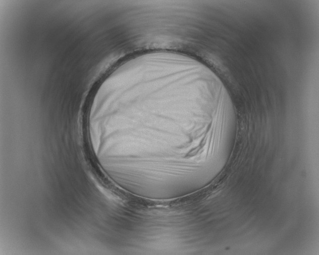 X0000063530678200602102018