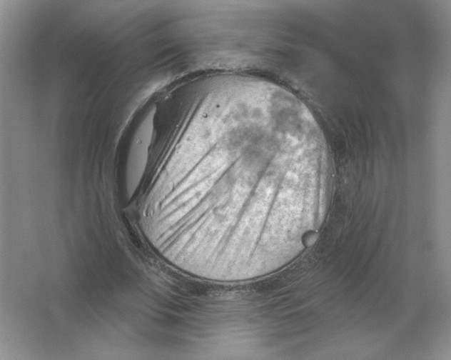 X0000063530679200602102018