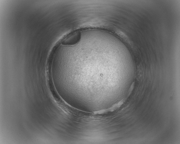 X0000063530680200602102018