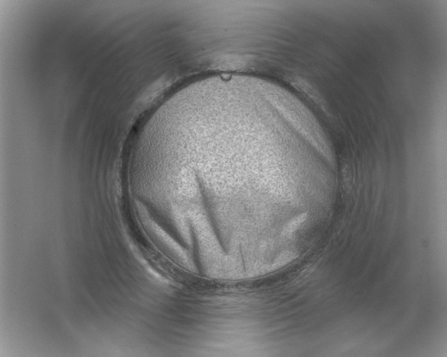 X0000063530682200602102018