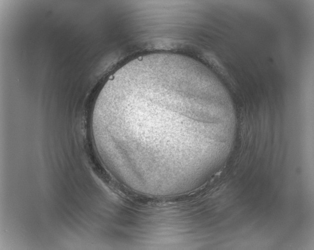 X0000063530683200602102018