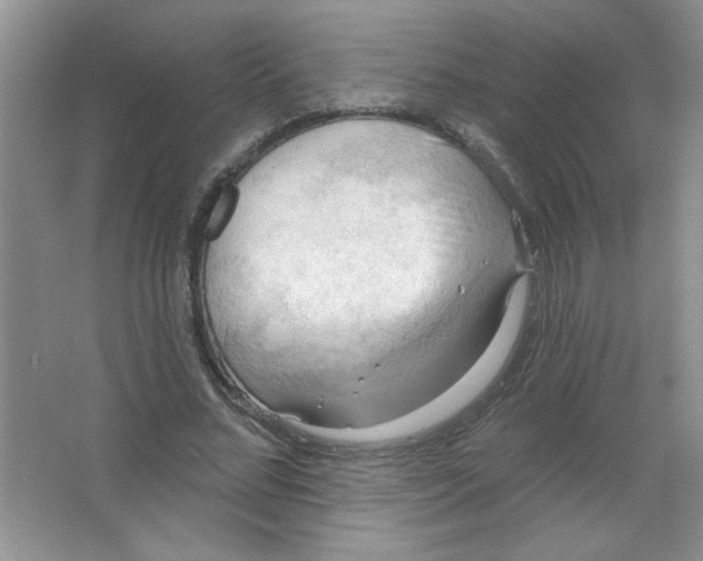 X0000063530684200602102018