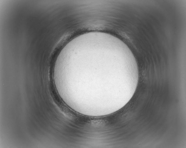 X0000063530686200602102018