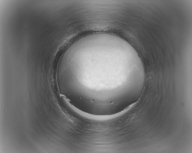 X0000063530688200602102018