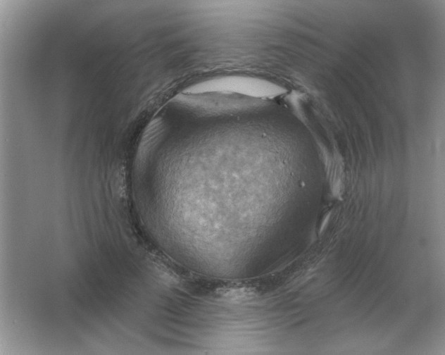 X0000063530689200602102018