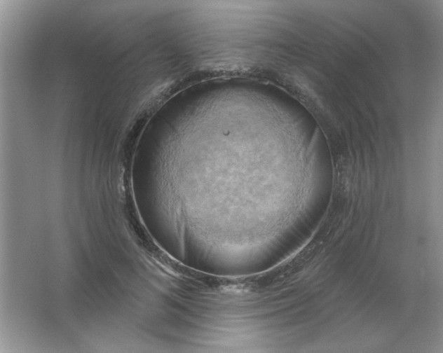 X0000063530692200602102018