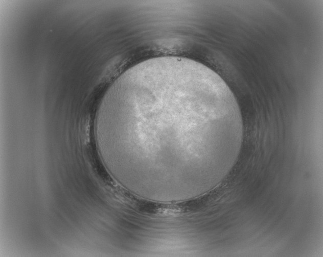 X0000063530694200602102018