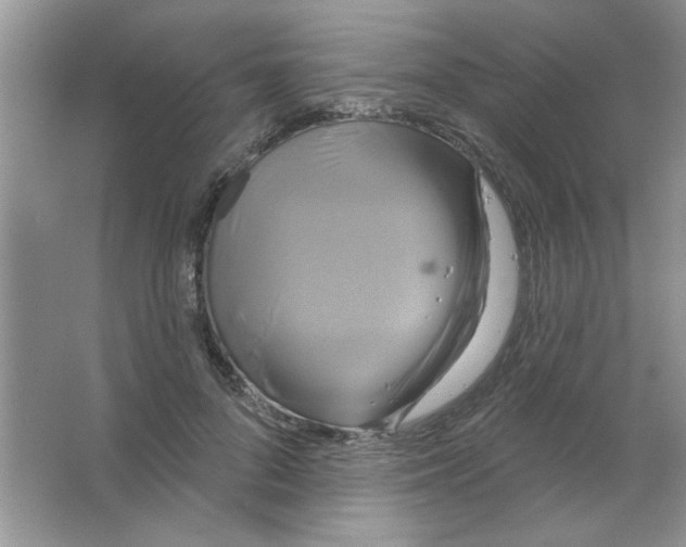 X0000063530696200602102018