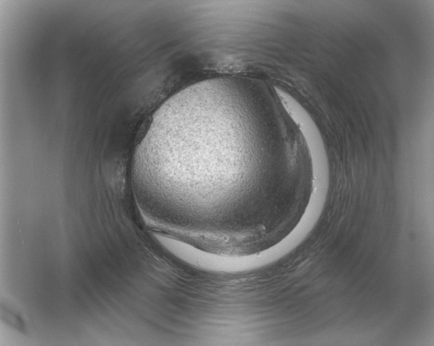 X0000063530697200602102018