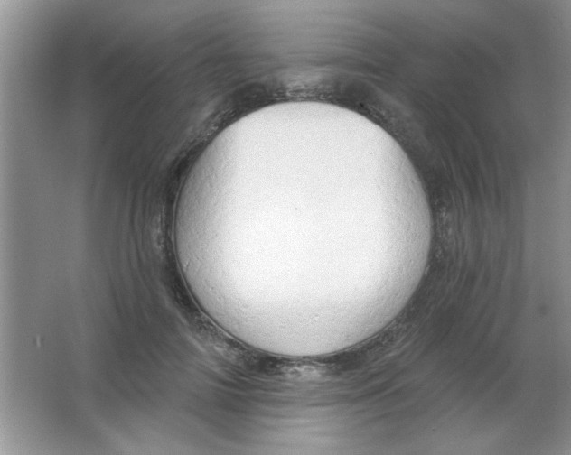 X0000063530698200602102018