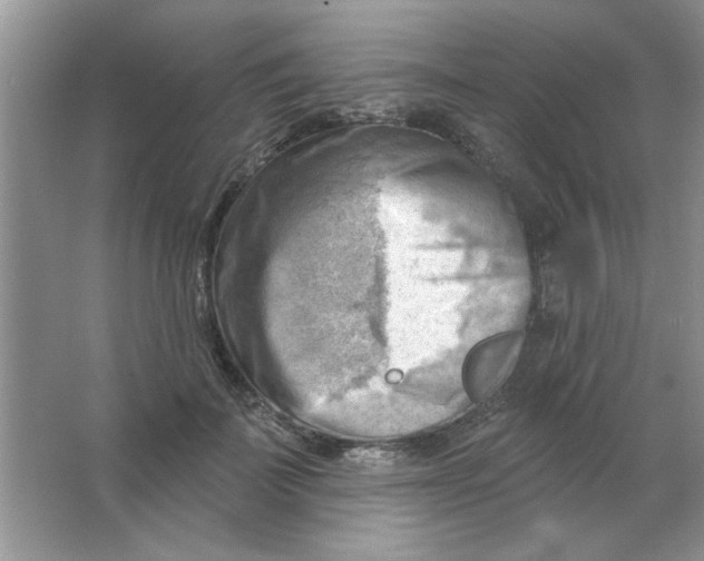 X0000063530699200602102018