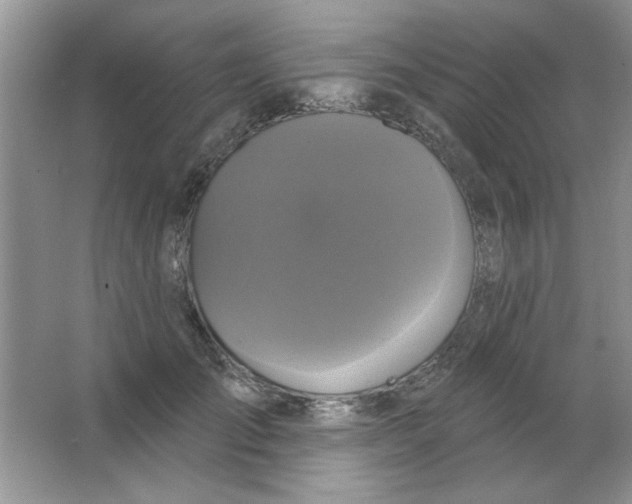 X0000063530701200602102018