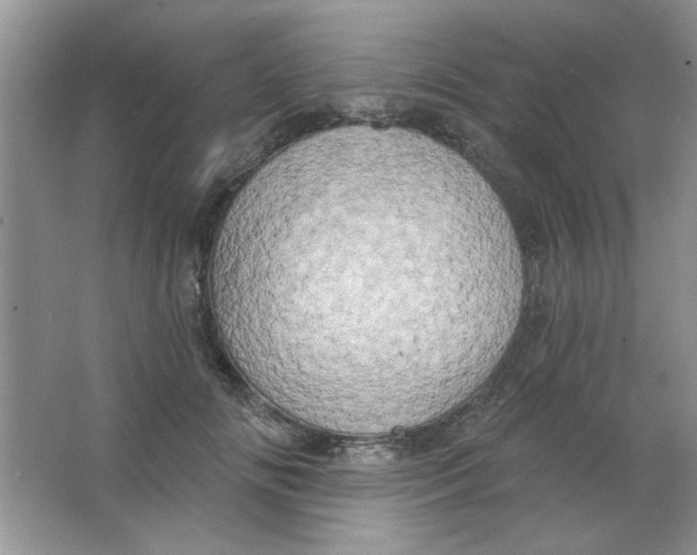 X0000063530702200602102018