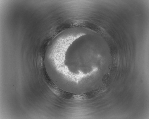 X0000063530703200602102018