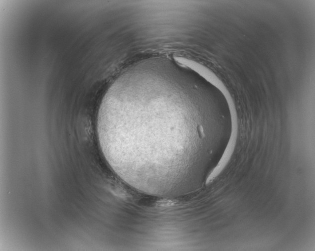 X0000063530704200602102018