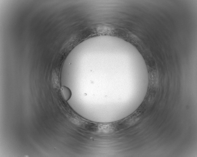 X0000063530705200602102018