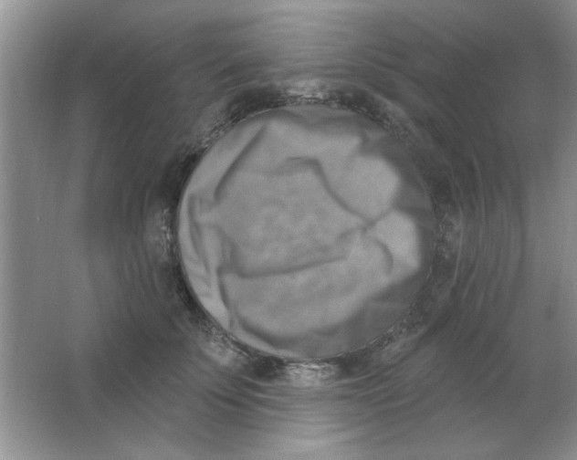 X0000063530707200602102017