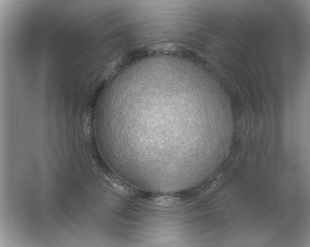 X0000063530708200602102017