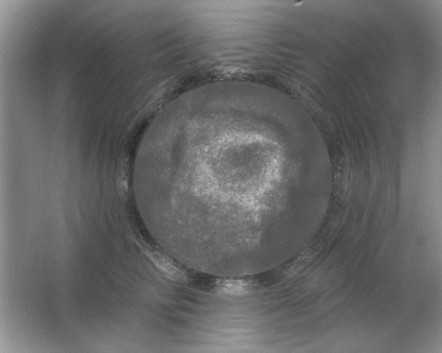 X0000063530710200602102017