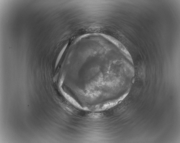 X0000063530711200602102017