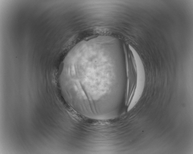 X0000063530712200602102017