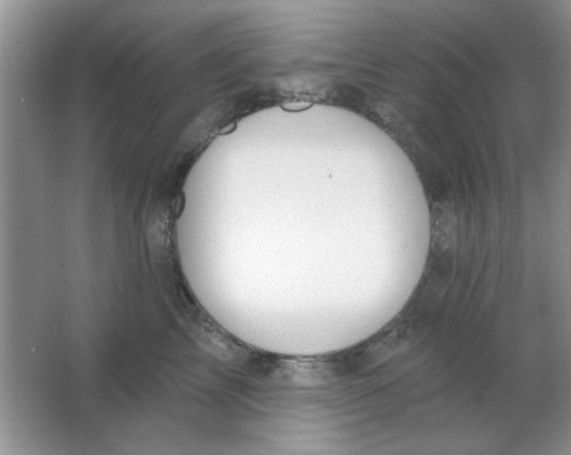 X0000063530713200602102017