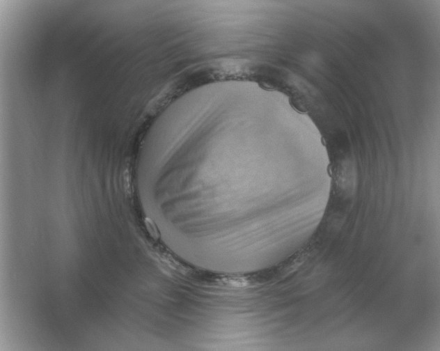 X0000063530715200602102017