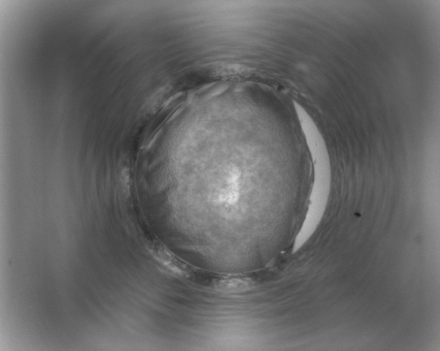 X0000063530716200602102017