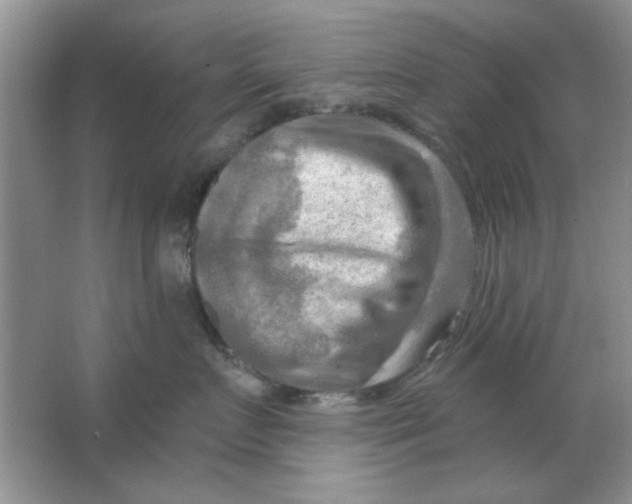 X0000063530719200602102017