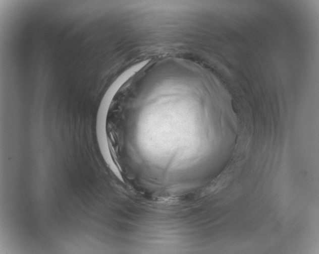 X0000063530720200602102017