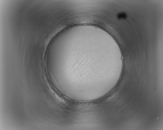 X0000063530721200602102016