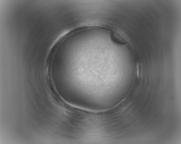 X0000063530723200602102016