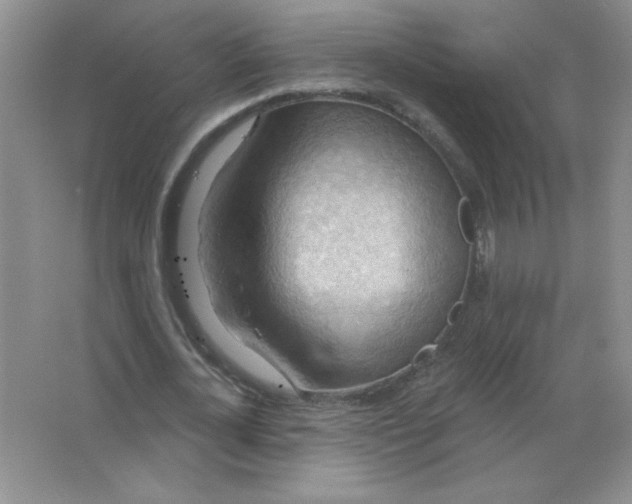 X0000063530724200602102017