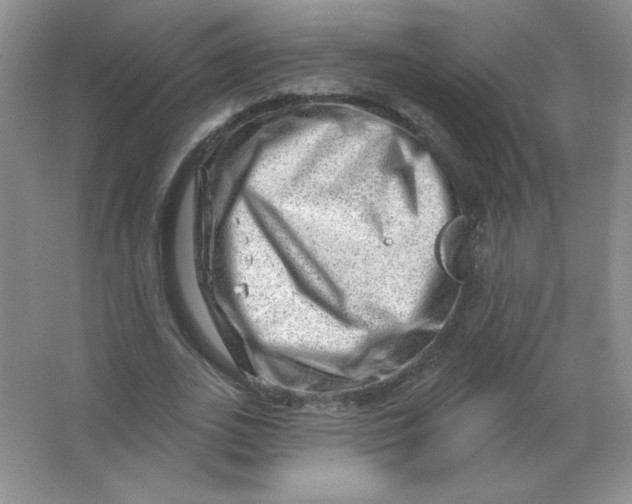 X0000063530727200602102017