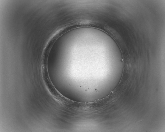 X0000063530728200602102017