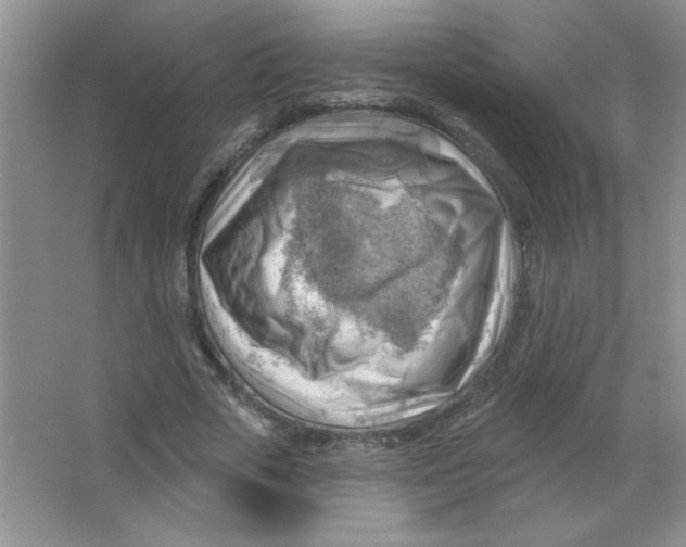 X0000063530729200602102017