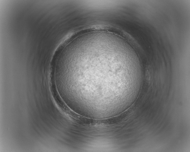 X0000063530730200602102017