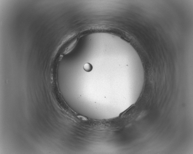 X0000063530731200602102017