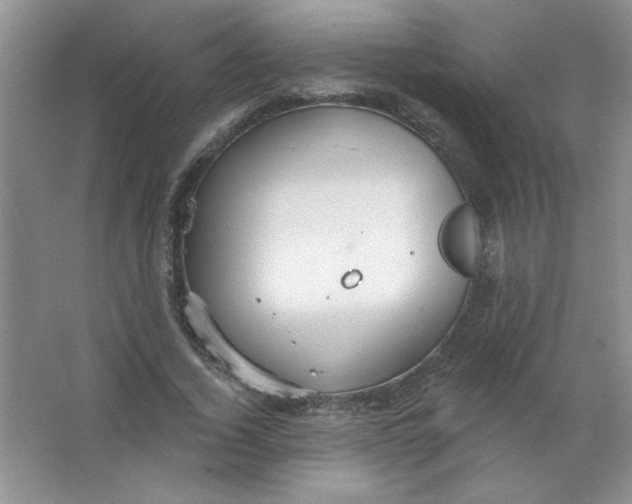 X0000063530732200602102017