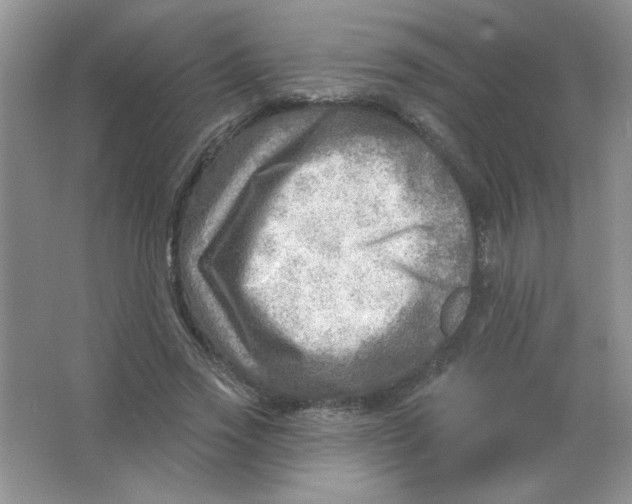 X0000063530733200602102017