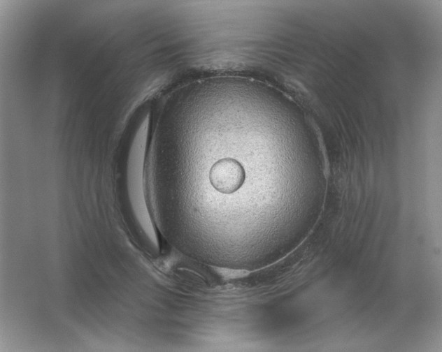 X0000063530735200602102017