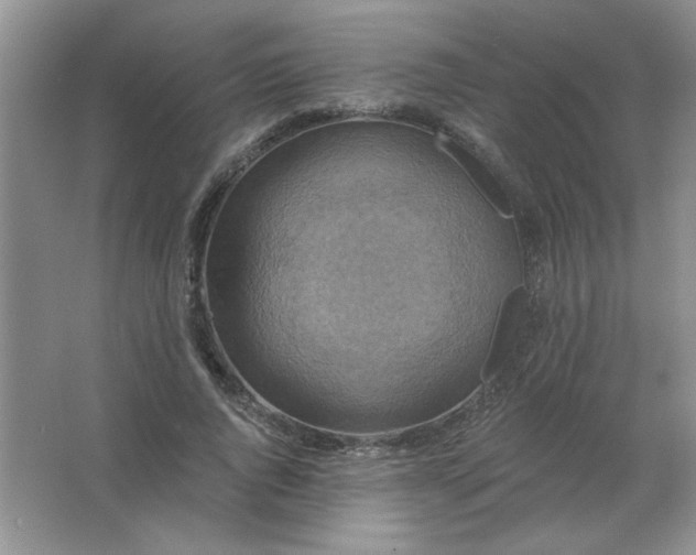 X0000063530736200602102017