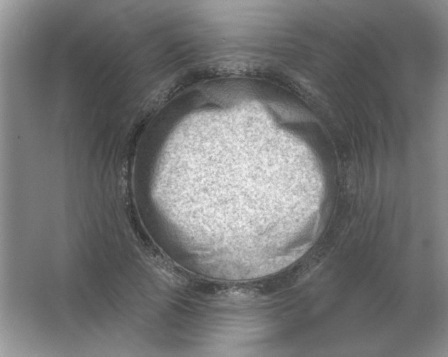 X0000063530737200602102017