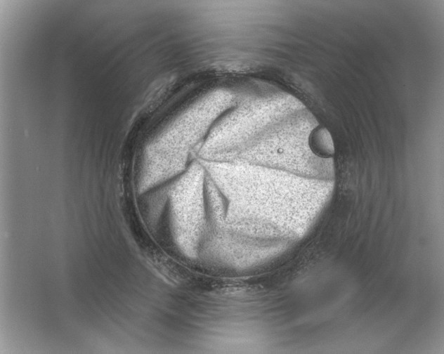 X0000063530738200602102017