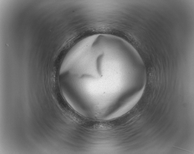 X0000063530739200602102017