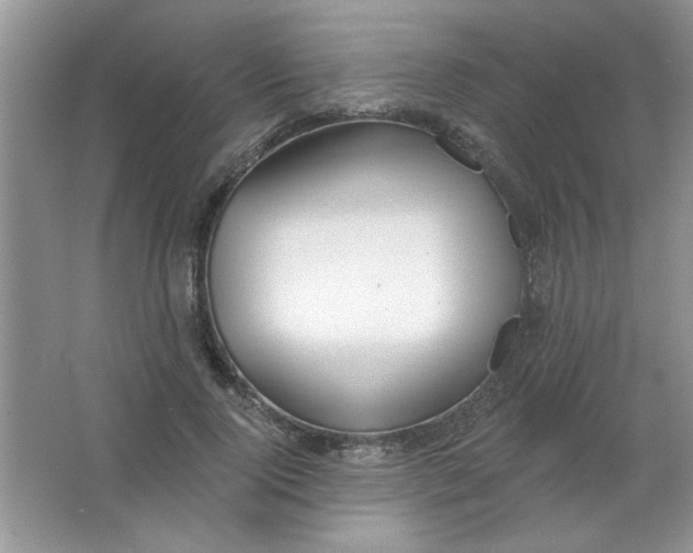 X0000063530740200602102017