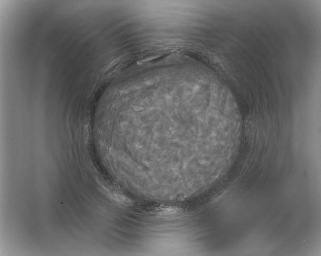 X0000063530741200602102017