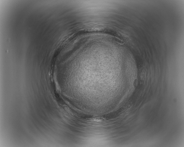 X0000063530743200602102017